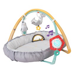 Taf Toys Musical newborn Cosy Gym