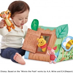 Disney Winnie the Pooh Home Hen Gym *SELF PICK BY CASH $750*