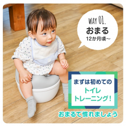 Shinse 3 WAY Toilet Seat 6M+